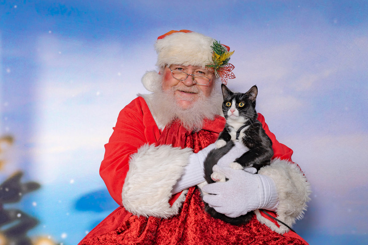 santa pictures at openroad auto group 2022